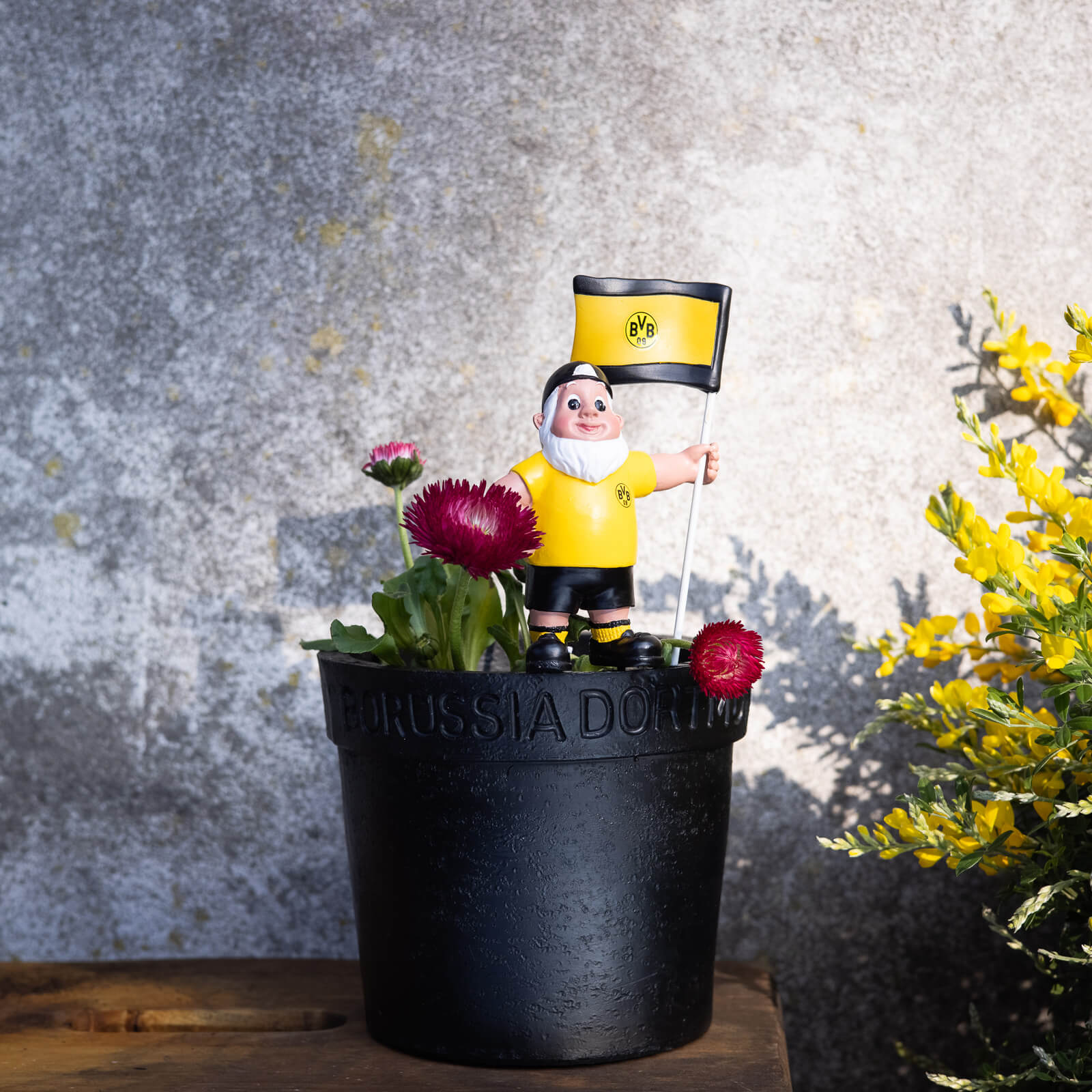 Borussia Mönchengladbach Nano da giardino, 215025