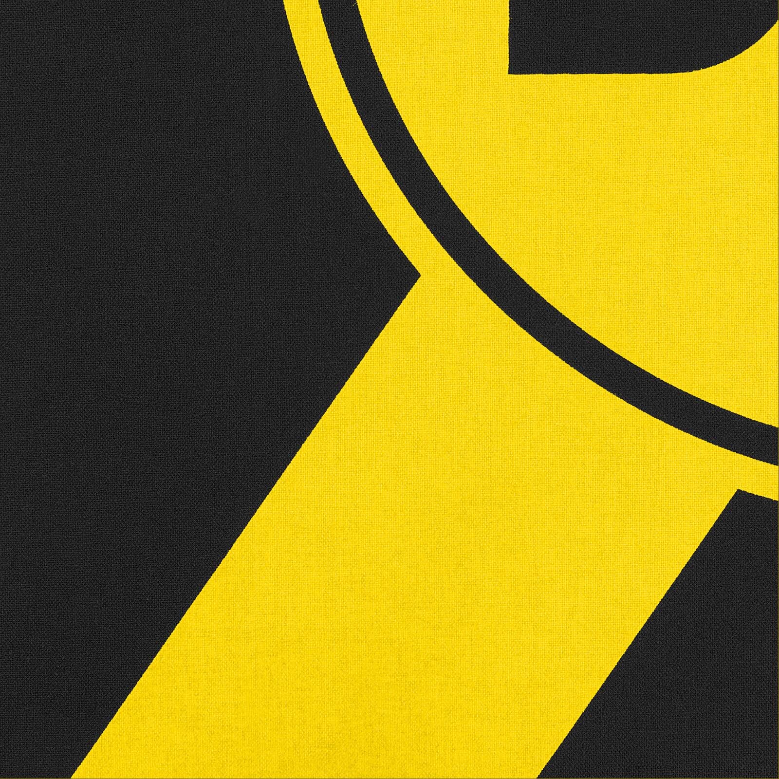 Cuscino Borussia Dortmund 40x40cm - Ufficiale BVB Nero E Giallo - Foto 3