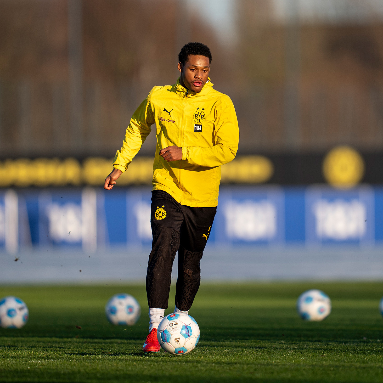 Borussia Dortmund 24/25 All-Weather Training Top Yellow - Official